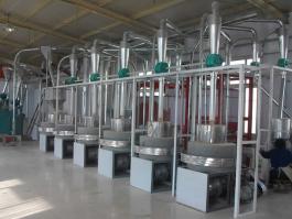 北京王总石磨面粉机组安装调试成功